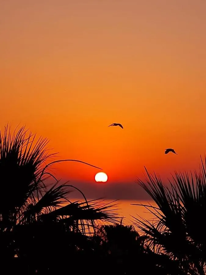 Alex Beach Apartment 203 Larnaca 0*,