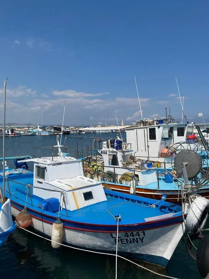 Alex Beach Apartment 203 Larnaca 0*,  Cyprus